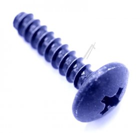 Tp Vision Screw - 996592300968 X01g090100002s00tp Q4*18 Black