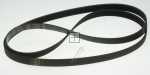 Poly v belt J - C00269096 482000086372 Belt [Whirlpool Indesit]